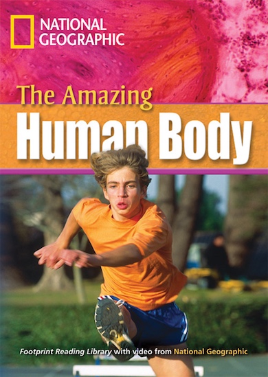 The Amazing Human Body